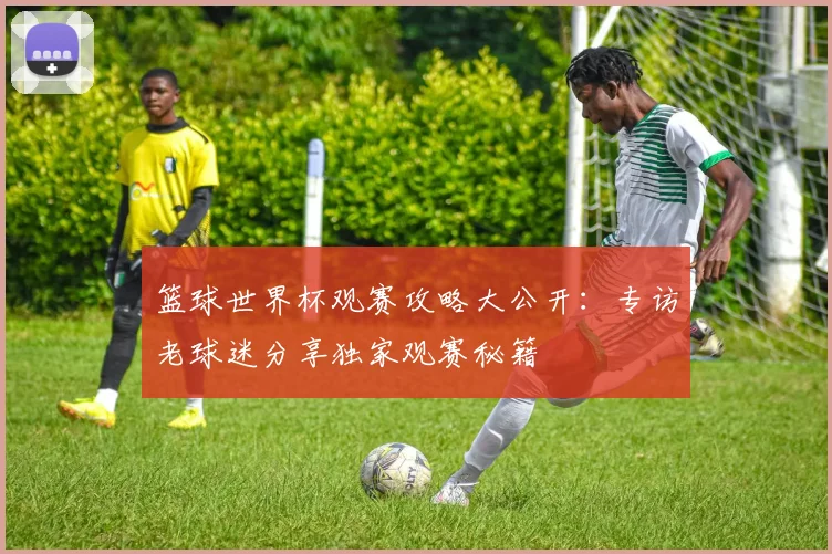 篮球世界杯观赛攻略大公开：专访老球迷分享独家观赛秘籍