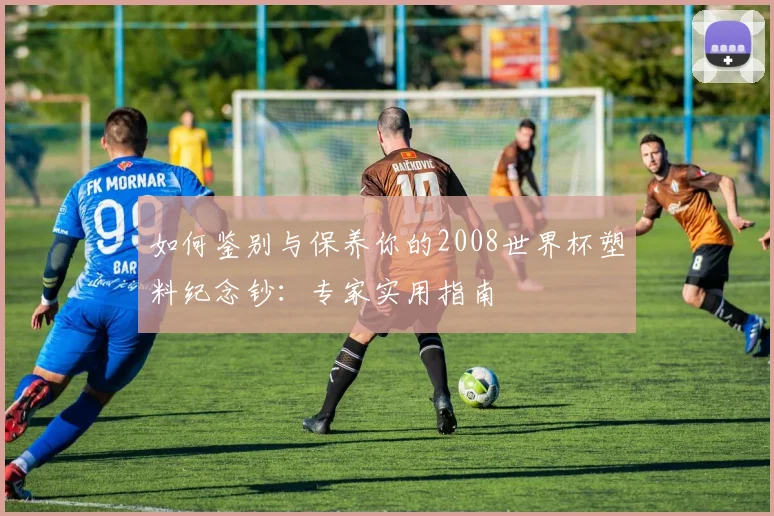 如何鉴别与保养你的2008世界杯塑料纪念钞：专家实用指南