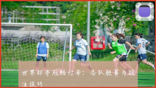 世界杯夺冠赔付率：各队胜算与投注技巧