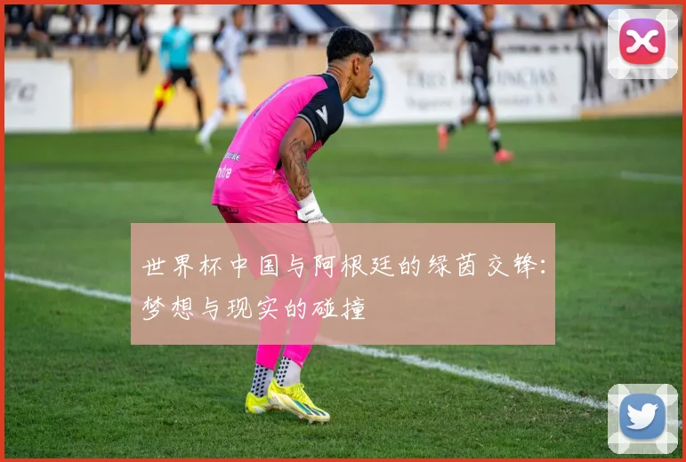 世界杯中国与阿根廷的绿茵交锋:梦想与现实的碰撞