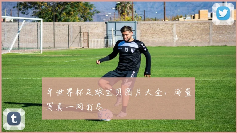 年世界杯足球宝贝图片大全，海量写真一网打尽