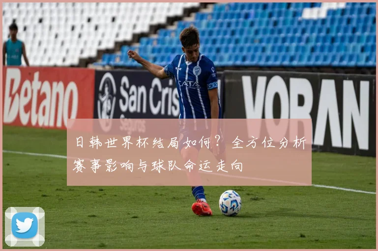 日韩世界杯结局如何?全方位分析赛事影响与球队命运走向