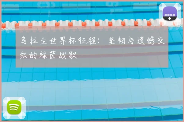 乌拉圭世界杯征程：坚韧与遗憾交织的绿茵战歌