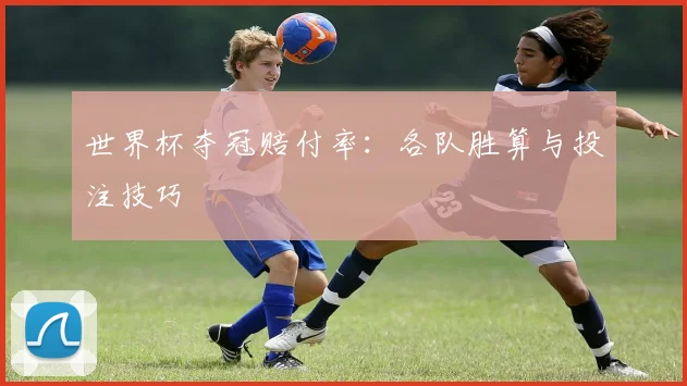 世界杯夺冠赔付率：各队胜算与投注技巧
